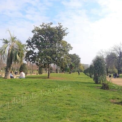 Guided Tour Ciutadella Park Nature, Triumphal Arch and Gaudí in Barcelona. 2