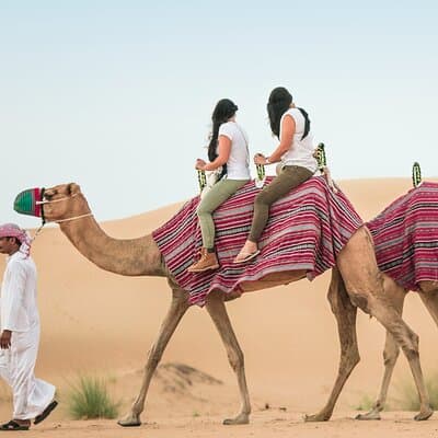 Dubai Desert Safari with Dinner, Dune Bashing and Camel Riding 5