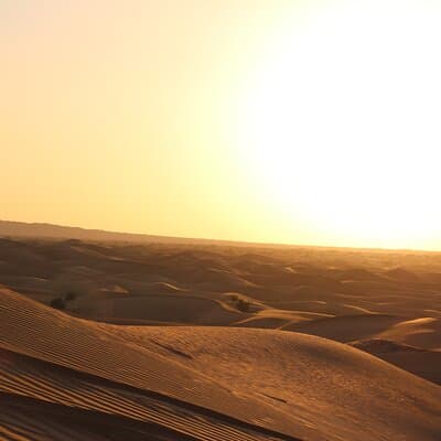 Dubai Desert Safari with Dinner, Dune Bashing and Camel Riding 4