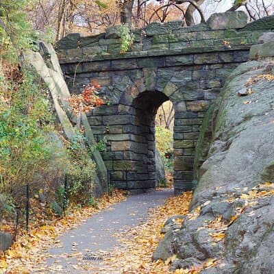 Self Guided Central Park Scavenger Hunt 3