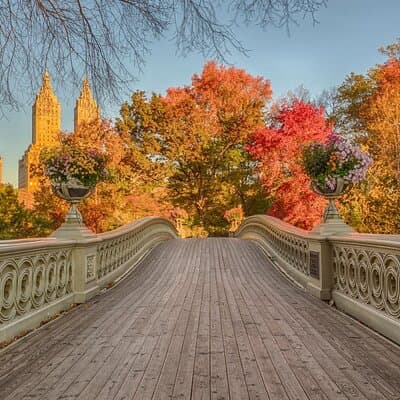 Self Guided Central Park Scavenger Hunt