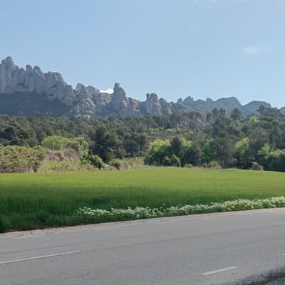 Half Day Private Montserrat Tour 3