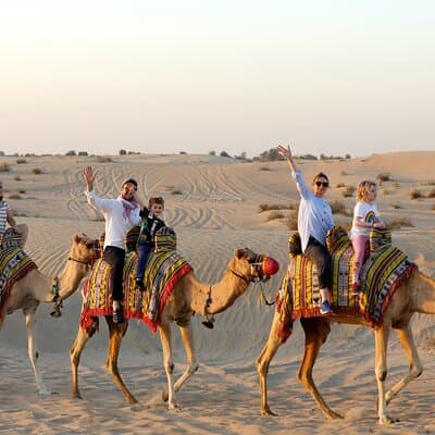 Evening Camel Caravan, Bedouin Dinner with Al Marmoom Oasis