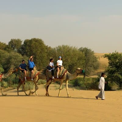 Dubai: Camel Caravan, Bedouin Breakfast with Al Marmoom Oasis