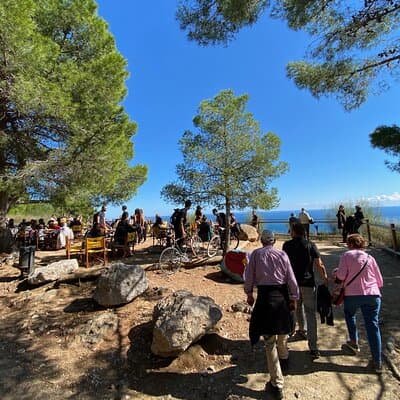 Barcelona Panoramic Walking Tour - Discover Montjuic 2
