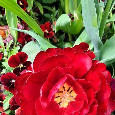 Private Giverny Trip and Entrance Ticket from Paris 5
