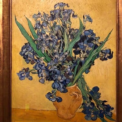 Van Gogh Museum, Rijks Museum & Walking Tour - Private Day Tour 3