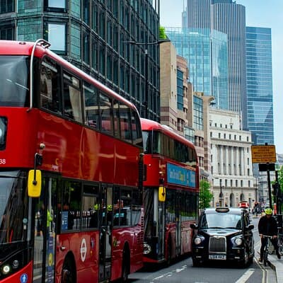 London Fully Tailored Private Tour: Half-Day with Local Guide