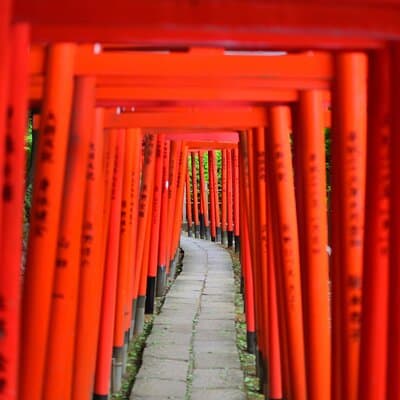 Professionally guided Tokyo Private Walking Tour 2