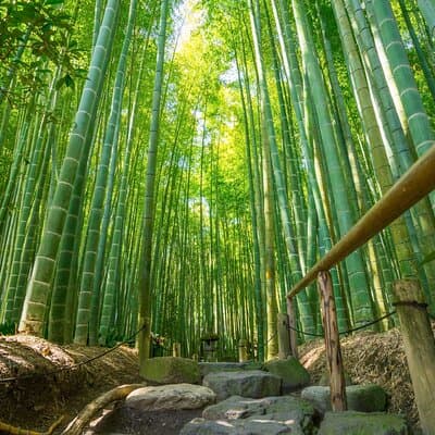 Kamakura Historical and Cultural Day Trip by Private Vehicle 3