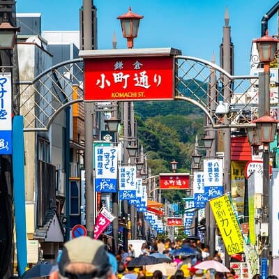 Kamakura Historical and Cultural Day Trip by Private Vehicle 5