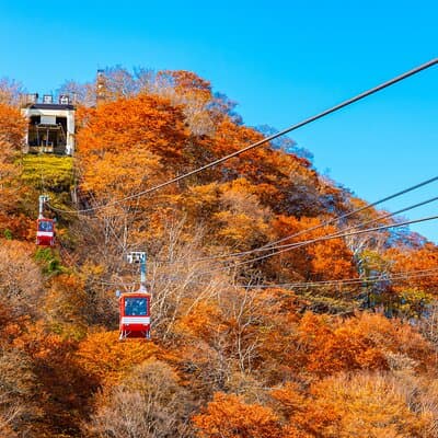 Explore the Culture and History of Nikko by Private Vehicle 5