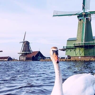 Zaanse Schans Windmills, Countyside & Fishing Villages