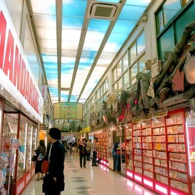 Crazy about Anime! Private Full Day Tokyo Manga Anime Tour by Chartered Vehicle