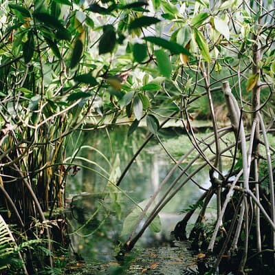 Visit of the fisher man village of Home Krateng from Bangkok with your private English-speaking guide 4