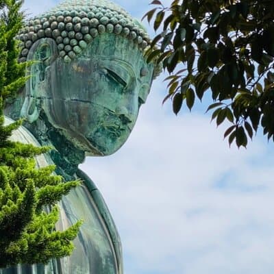 Historic Kamakura: Temples, Shrines and Street Food Private Walking Tour 2