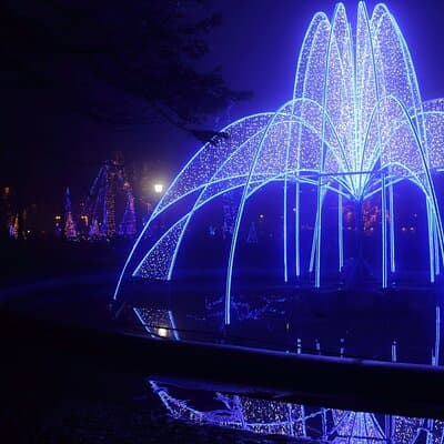 Niagara Falls USA/Canada Winter Wonderland Adventure tour 2