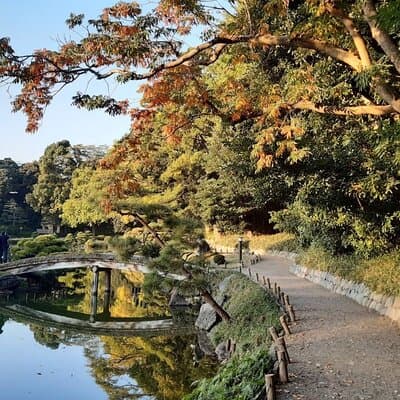 Edo Tokyo Small-Group Tour: History, Culture & Local Experiences 5