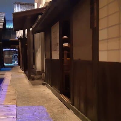 Edo Tokyo Small-Group Tour: History, Culture & Local Experiences 4