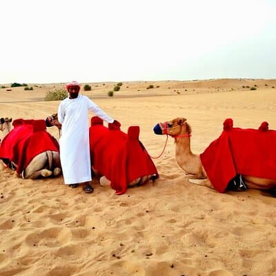 Camel Ride Safari in Red Dunes 4