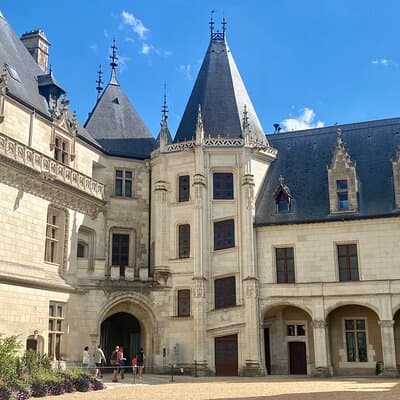 Private Chenonceau, Blois, Chaumont Loire Castles Trip from Paris 3