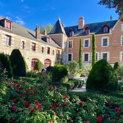 Private Royal Castles Chenonceau Amboise Da Vinci from Paris