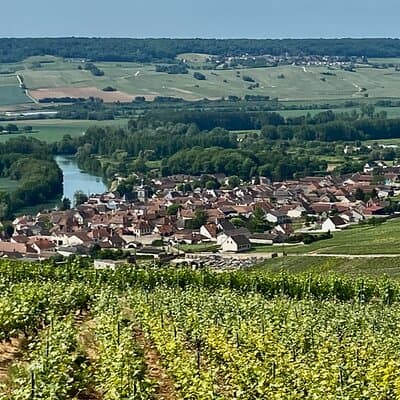 2-day Burgundy 4 Domains, Champagne Moet, Veuve Clicquot Private 5