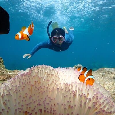 Snorkeling Full Day Experience from Bangkok 2