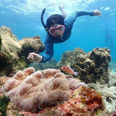 Snorkeling Full Day Experience from Bangkok