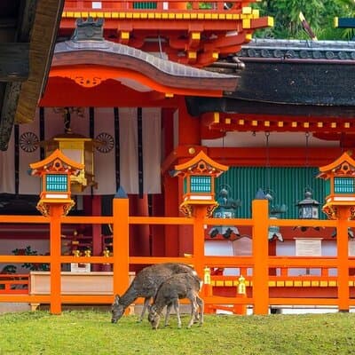 Private Customized 3 Full Days Tour Package: Discover Kyoto, Arashiyama and Nara
