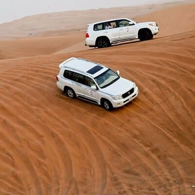 Morning Desert Safari Tour With Dune Bashing At Lahbab Desert. 5