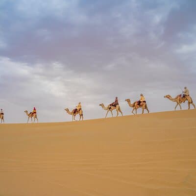 Camel Trekking in Open Red Dunes Desert 4