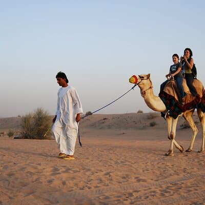 Camel Trekking in Open Red Dunes Desert