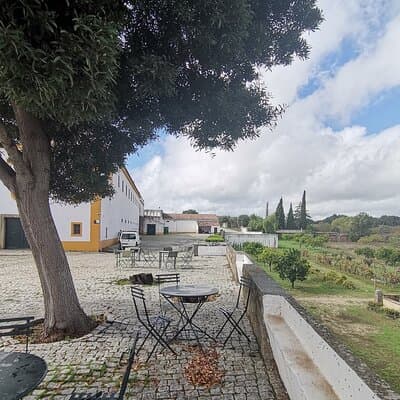 Private Tour to Evora with wine tasting at the Cartuxa Winery 3