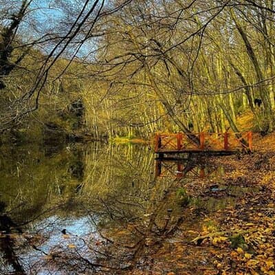 Discover Secret Lakes by Private Hiking Tour (w/Lunch, Transfers) 4