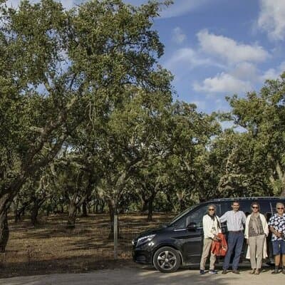 Half day Private Tour 4h Historical Lisbon Center w/ Tasting 5