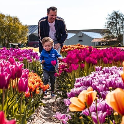 Private Keukenhof, Gardens, Windmills, cheese tour from Amsterdam 5