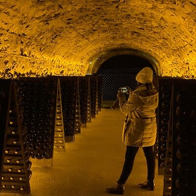 Paris Wine Day Tours exclusive Champagne tour incl. 3 visits 5