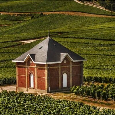Private Tour to the best Champagne Wineries from Paris 2