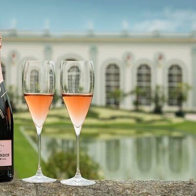Private Tour to the best Champagne Wineries from Paris 4