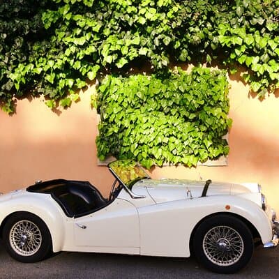 Day-trip from Rome to Roman Hills with lunch / picnic included 2