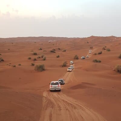 Desert Safari Dubai & Quad Bike with Dinner 4