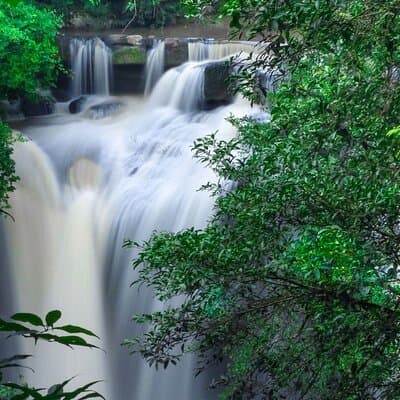 Khao Yai National Park Full-Day From Bangkok - Including Ticket