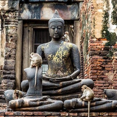 Lopburi Monkey Temple & Ayutthaya Old City Tour From Bangkok