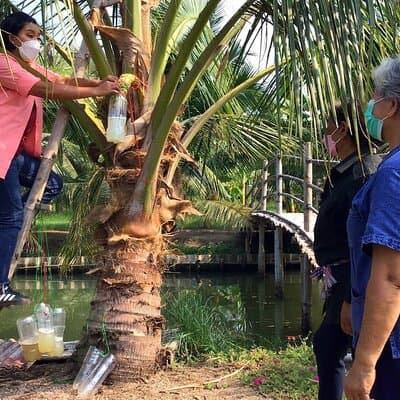 Meet Thai locals and tour Maeklong Railway Market with lunch 3