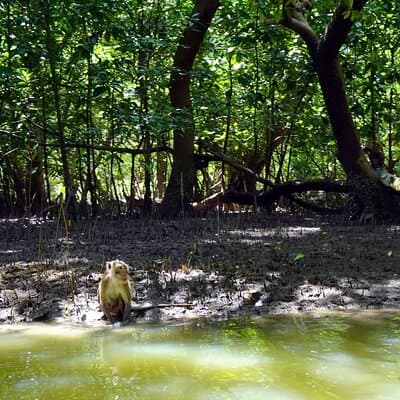 Full Day Mangrove Forest Conservation Centre 4