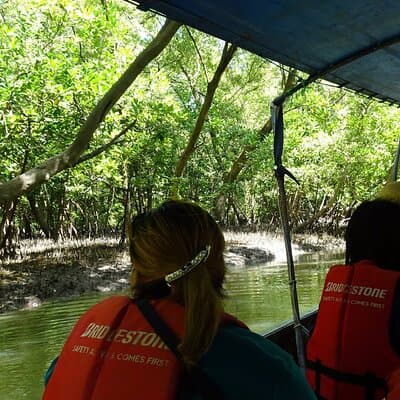 Full Day Mangrove Forest Conservation Centre 5