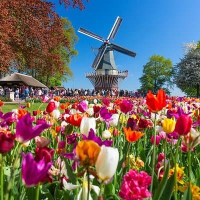 Private Flower Tour to the Keukenhof
