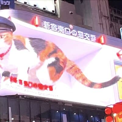 Shinjuku Golden-gai and Kabuki-cho Bar Hopping with Master Guide 2