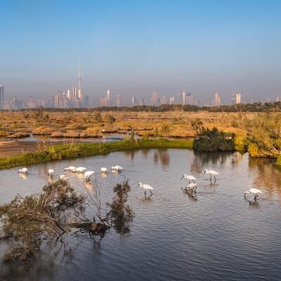 Dubai City Tour with Burj Khalifa 2